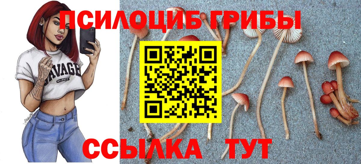 Галлюциногенные грибы MAGIC MUSHROOMS  Псилоцибиновые грибы мицелий  Кострома  Вход с VPN 